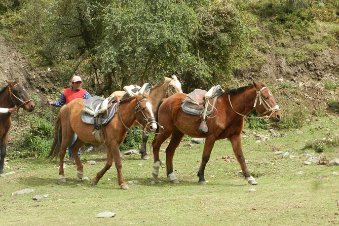 Humantay Lake Tour From Cusco - Health and Fitness Requirements