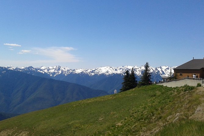Hurricane Ridge Olympic National Park From Seattle - Tips for Your Visit