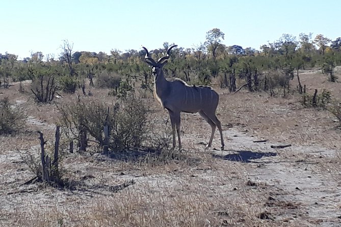 Hwange Day Trip - Frequently Asked Questions
