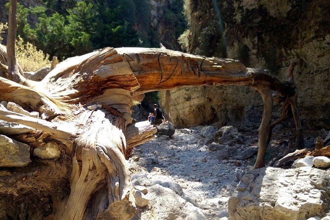 Imbros Gorge Adventure Day Trip From Chania - Preparing for the Adventure