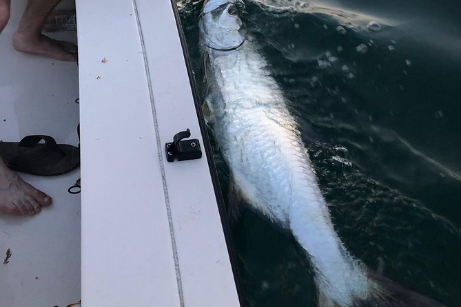 Inshore Sport Fishing With Local Guide - Catch and Release Practices