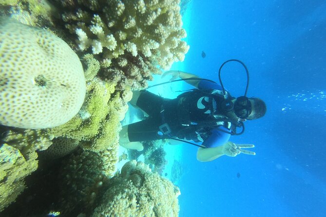 Intro Diving for Beginners in Hurghada With Pick-Up and Lunch - Frequently Asked Questions