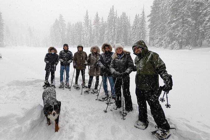 Introductory Snowshoe Shared Experience - Sum Up