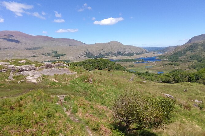 Ireland Wild Atlantic Way 2-Day Tour  - Ennis - Reviews and Ratings