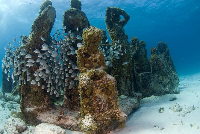 Isla Mujeres Catamaran Tour With Snorkeling at Musa, Buffet Lunch & Open Bar - Frequently Asked Questions