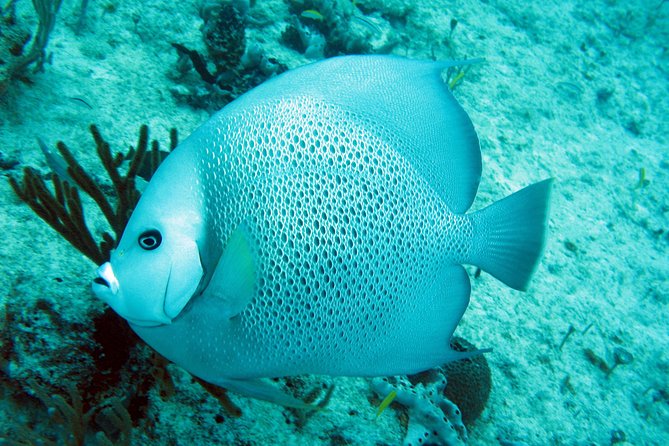 Isla Mujeres Private Dream Getaway - Frequently Asked Questions
