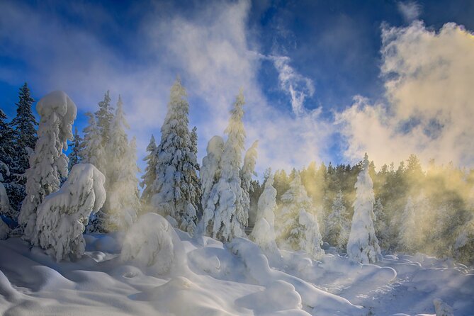 Jackson 4-Day and 3-Night Grand Teton and Yellowstone Winter Tour - Frequently Asked Questions