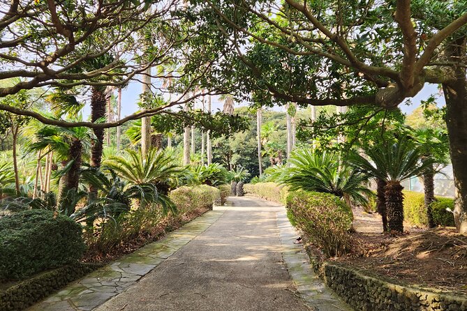 Jeju Island Eastern UNESCO Site Full Day Guided Tour - Tips for an Enjoyable Experience