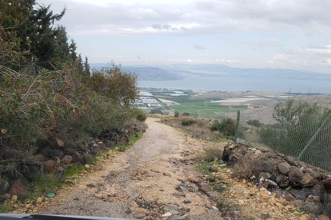 Jerash, Umm Qais, Cave of Jesus From Amman - Customer Experiences and Reviews
