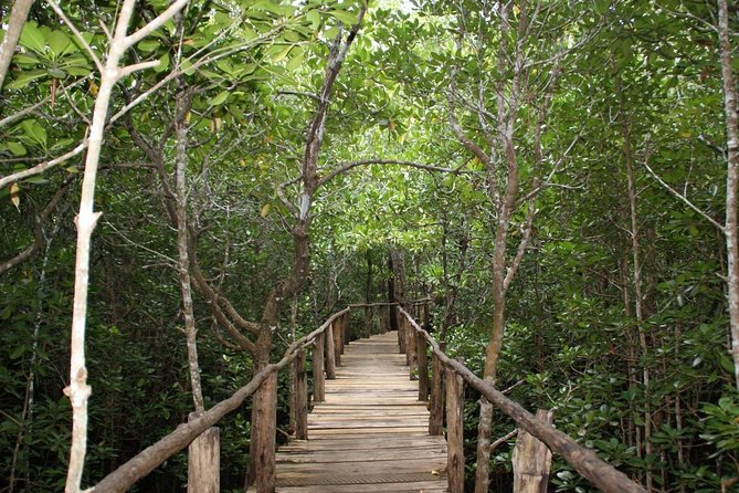 Jozani Forest Tour - Frequently Asked Questions