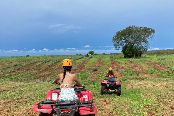 Jungle and Beach ATV Tour + Lunch + Tequila Tasting - Value and Repeat Experiences