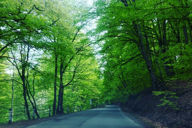 Kakheti Region Khareba Winery Telavi City Gremi Castle Day Tour - Touring Gremi Castle