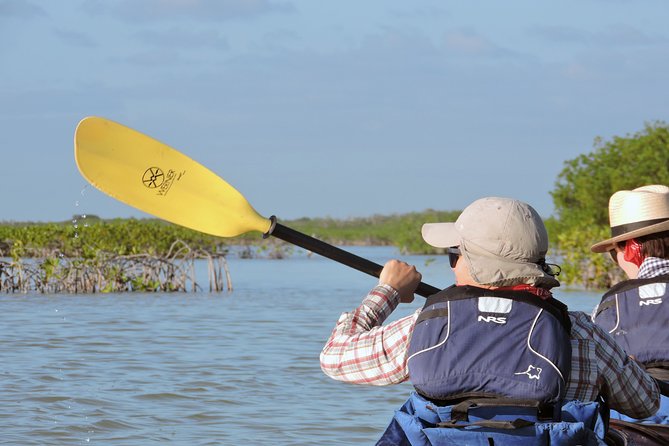 Kayak Biosphere Reserve Sunset Tour - Customer Feedback Highlights