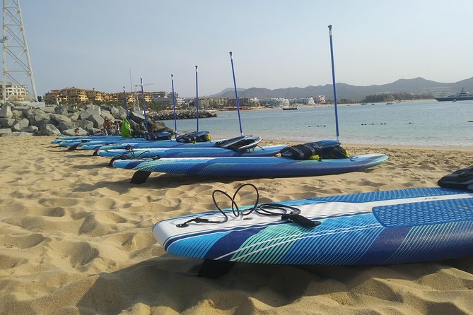 Kayak or Paddle Board & Snorkel to the Arch With Photos Included - Customer Feedback and Ratings
