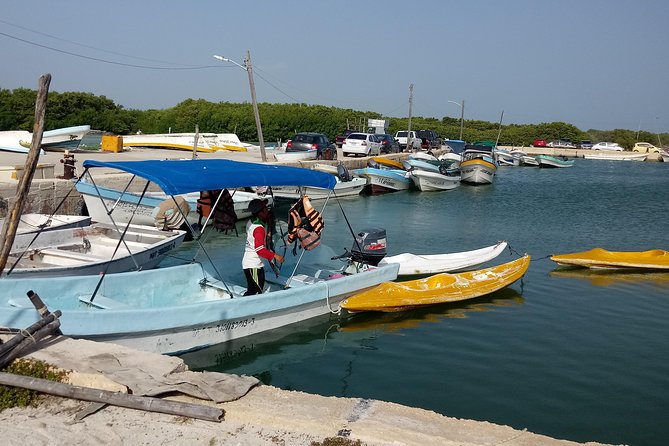 Kayak Through Mangroves to Secret Beach - Exploring the Mangroves