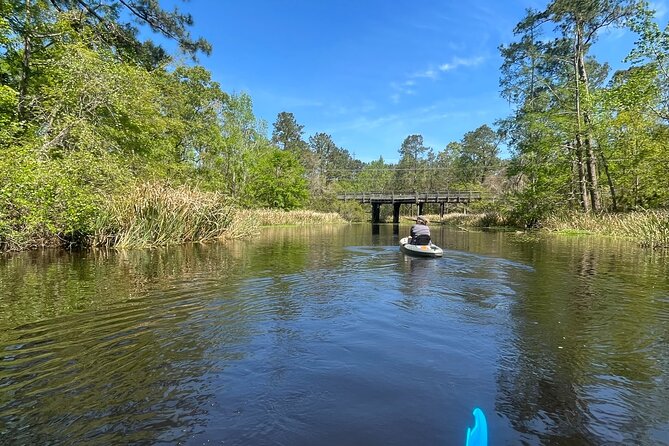 Kayak Tour Of The Honey Island Swamp and Backwaters - Local Wildlife and Scenery