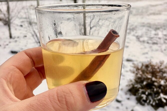 Kelowna Snow E-Biking Adventure With Lunch, Wine Tasting & Smores - Savor Honey Wine Tastings