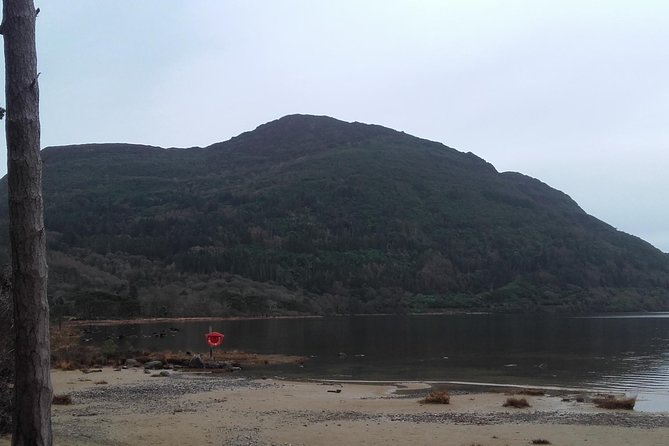Killarney Valley & National Park Tour - Company Response