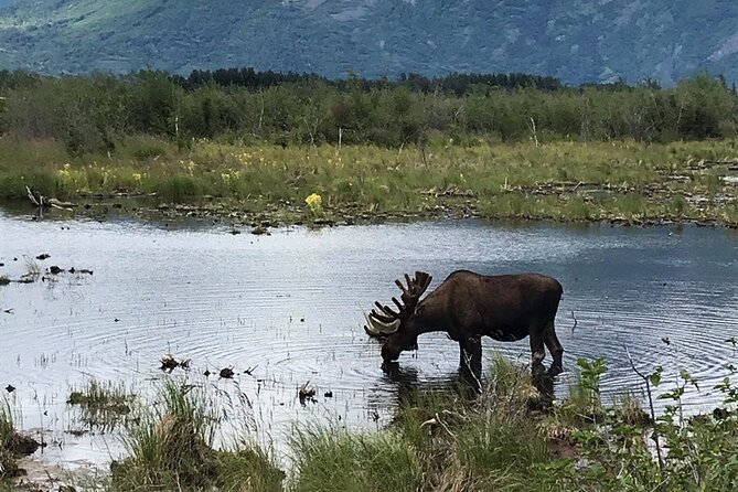 Knik Glacier Adventure 4x4 Overland Safari and Jet Boat Adventure - Repeat Visitors Perspectives