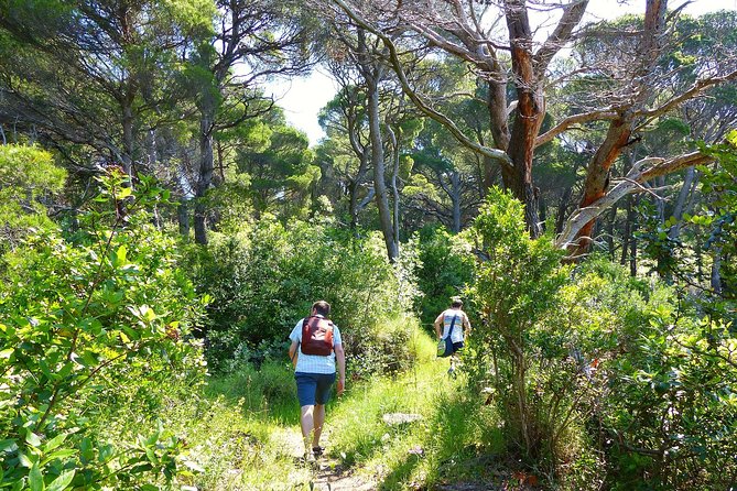Kolocep Island Hiking and Swimming Full Day Trip From Dubrovnik - Pricing and Booking Information