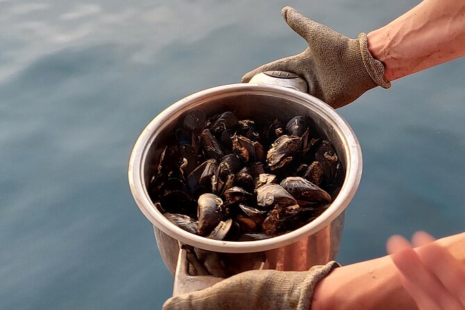 Krka River Small-Group Half-Day Kayak and Mussel Tasting Tour  - Dalmatia - Adventurous Activities