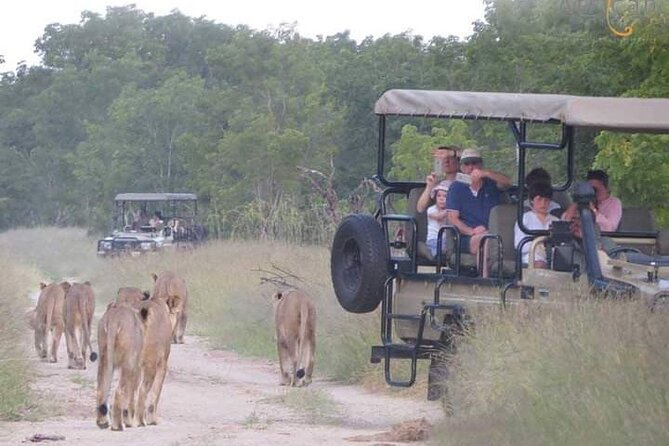 Kruger National Park Best Tour - Frequently Asked Questions
