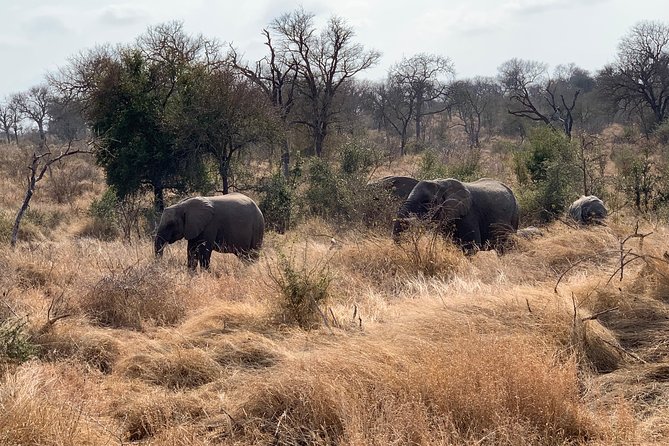 Kruger National Park Full Day Big 5 Safari Tour From Hazyview - Frequently Asked Questions