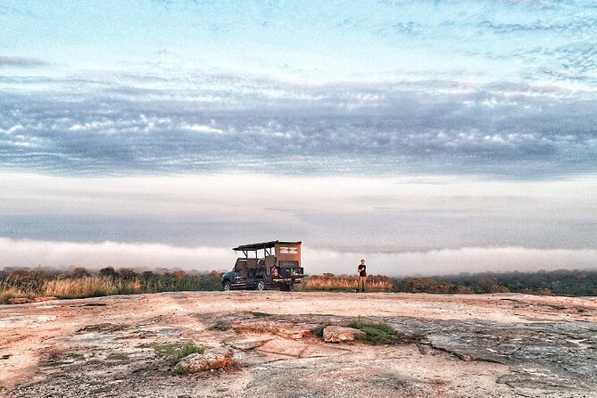 Kruger National Park Sunrise Half-Day Safari Tour - What to Expect