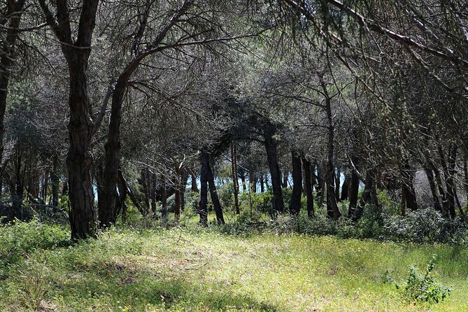 Lagos Small-Group Algarve Nature Tour - Additional Notes
