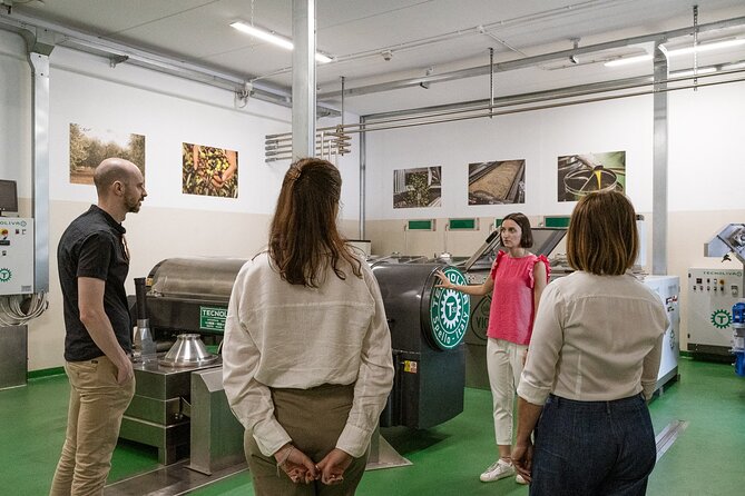 Lake Garda Olive Oil Tour and Tasting Experience - Booking Information and Tips