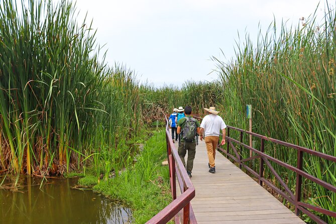 Last Little Wildlife Refuge in Lima - Guided Experience