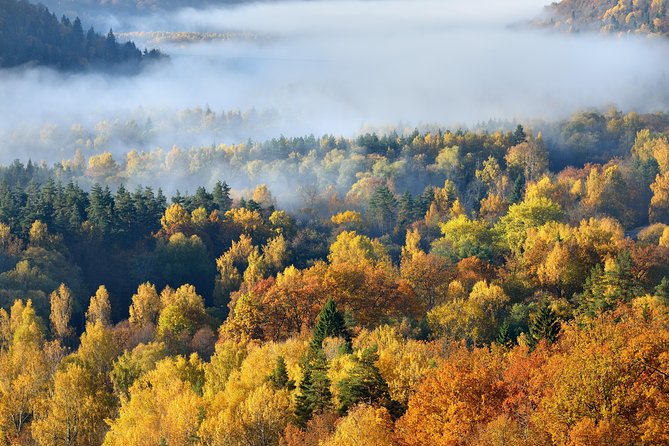 Latvia Small-Group History Tour - Additional Information