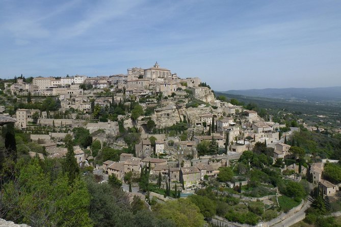 Lavender Tour Sault From Marseille - Reviews and Feedback