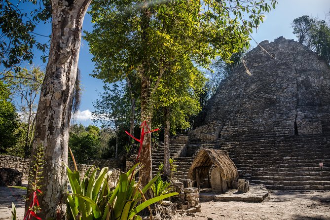 LDS Tour to Coba Ruins + Cenote - Exploring the Cenotes