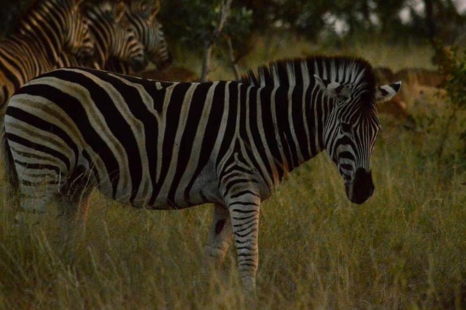 Lesedi Cultural Village and Lion Park Tour - Frequently Asked Questions