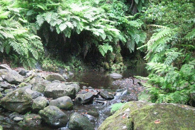 Levada Do Rei - Ribeiro Bonito (Full Day Walk) - Scenic Mountain Views