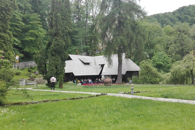 Libearty - the Brown Bear Sanctuary From Zarnesti - Flexible Cancellation Policy