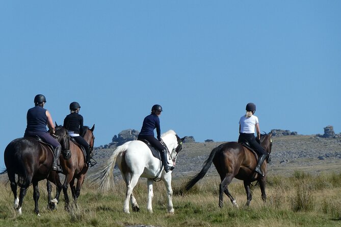 Liberty Trails - Dartmoor Horseback Adventures - Exploring Dartmoors Wild Landscapes