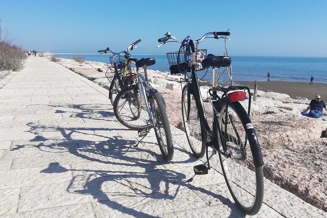 Lido Bike Tour: With a Local on the Island of Cinema - Highlights of the Lido Bike Tour