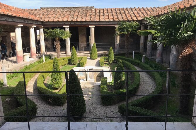 Life and Death of the Roman City of Pompeii With a Local Guide. Private Tour - Insights From a Local Guide