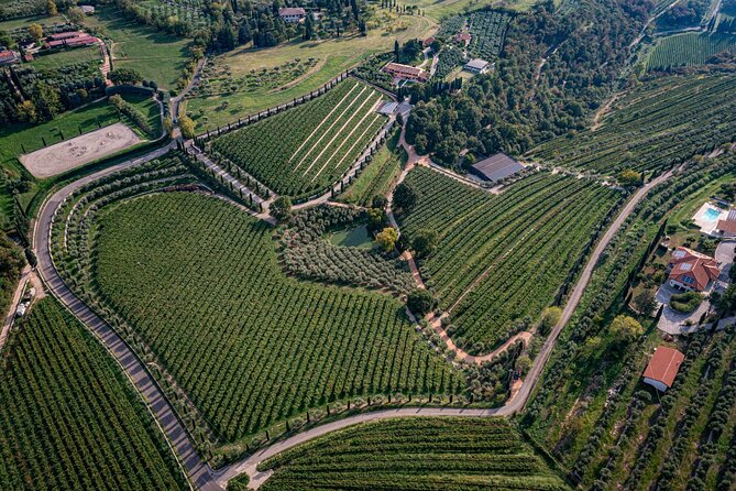 Light Lunch With Blind Tasting - Frequently Asked Questions