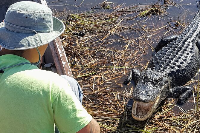 Little Havana Walking Tour + 1 Hour Everglades Airboat Ride - Tips for Your Tour