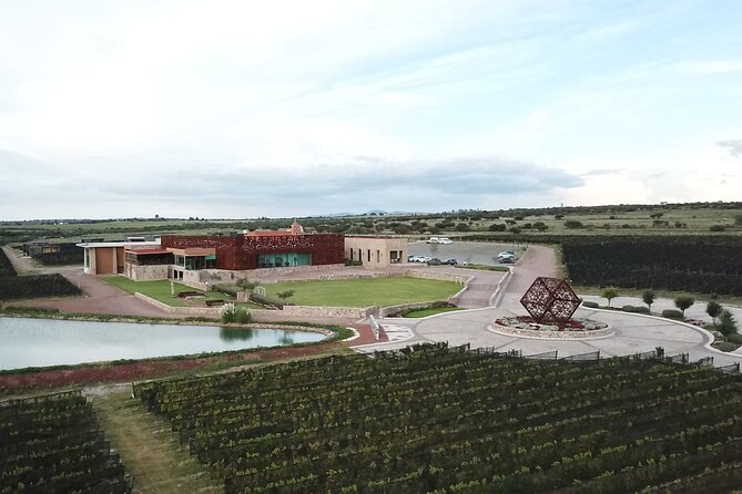 Local Vineyard Tour & Wine Tasting at the Independence Valley - Additional Options