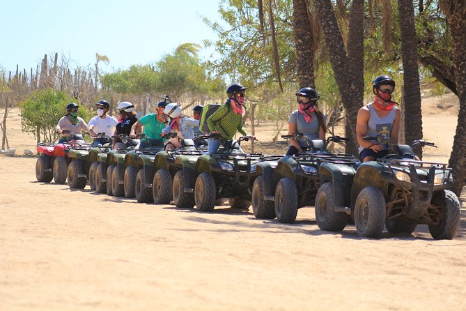 Los Cabos ATV and Pacific Horseback Riding Combo Tour - Customer Feedback