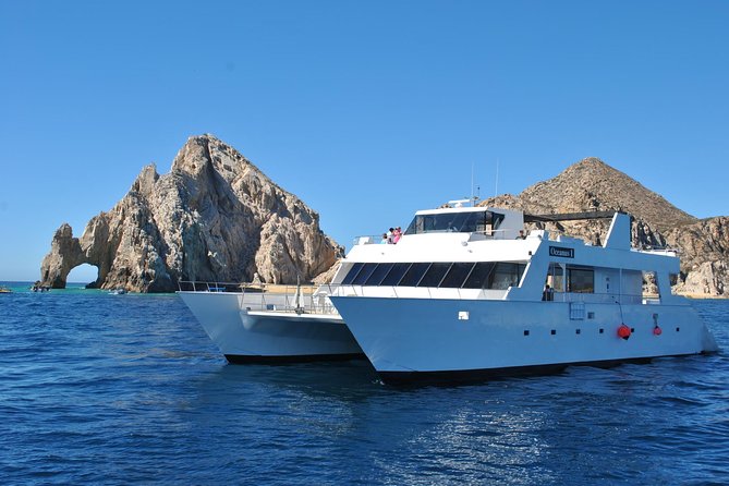Los Cabos Reef Snorkeling Cruise With Lunch and Open Bar - Highlights of the Excursion