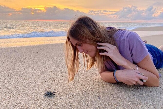 Los Cabos Turtle Release Conservation Program - Contributing to Sea Turtle Preservation