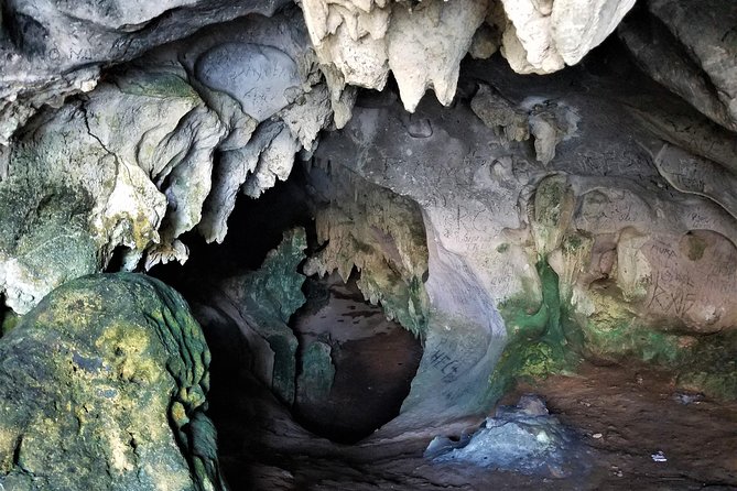 Los Haitises Private Boat Tour - Booking and Availability