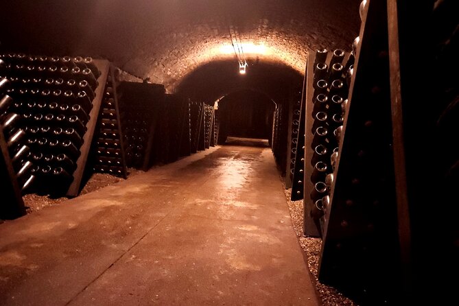 Luxembourg Moselle Day Tour With Wine Tasting - Ask Away