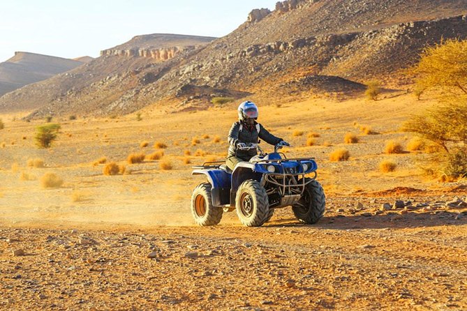 Luxury 2h Quad in Agafay With Transportation - Customer Reviews and Testimonials