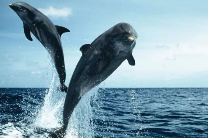 Luxury Private Boat Charter - Pricing and Payment Options